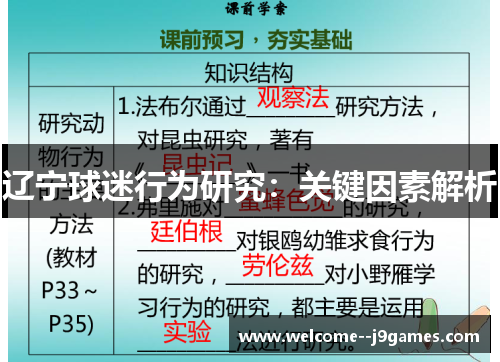 辽宁球迷行为研究：关键因素解析