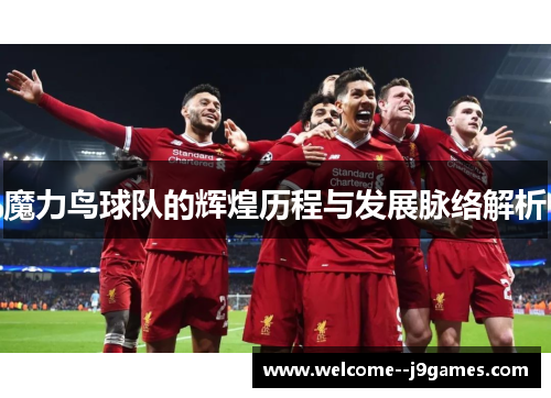 魔力鸟球队的辉煌历程与发展脉络解析