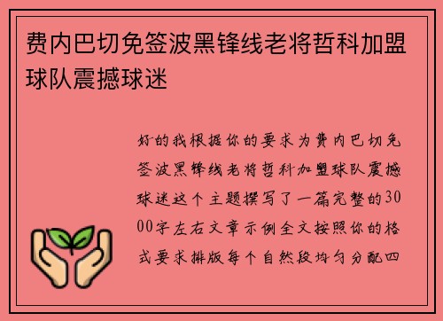 费内巴切免签波黑锋线老将哲科加盟球队震撼球迷