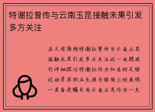特谢拉曾传与云南玉昆接触未果引发多方关注